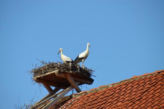 Kurz vor dem ersten Flug